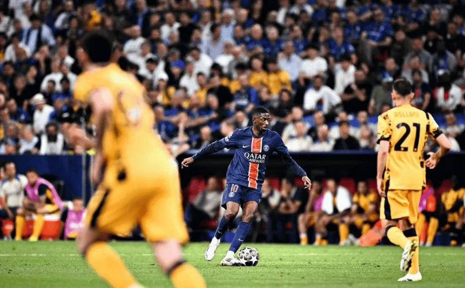 自主开发了 自主开发了