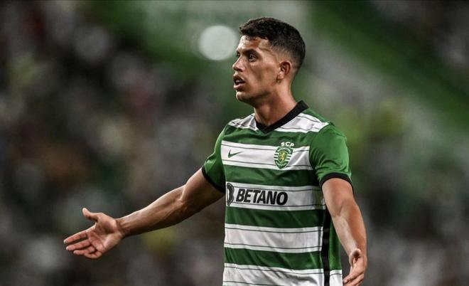 的表现尤为 的表现尤为