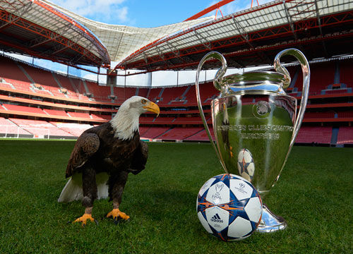 的滚雪球 的滚雪球