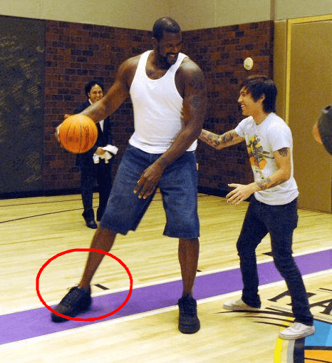 铁和坚韧著 铁和坚韧著