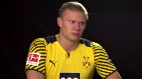 关注 关注